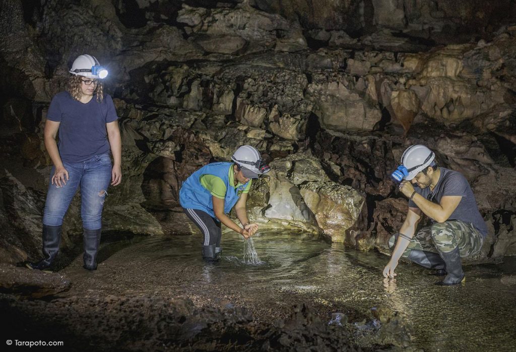 Cueva activa de Palestina, Perú