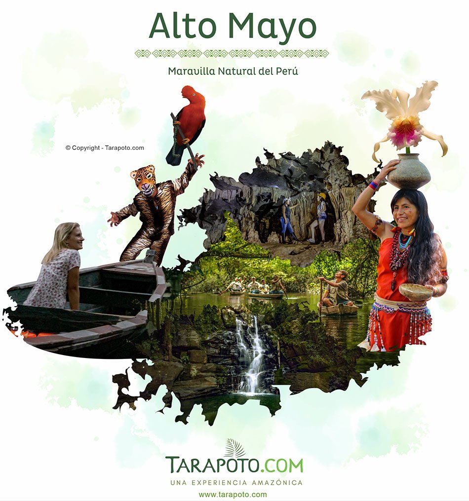 Ecoturismo en el Alto Mayo, Perú