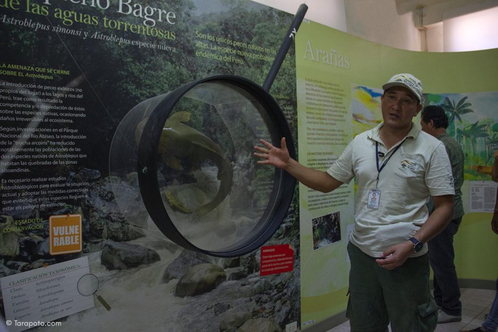 centro de interpretación del parque nacional río abiseo
